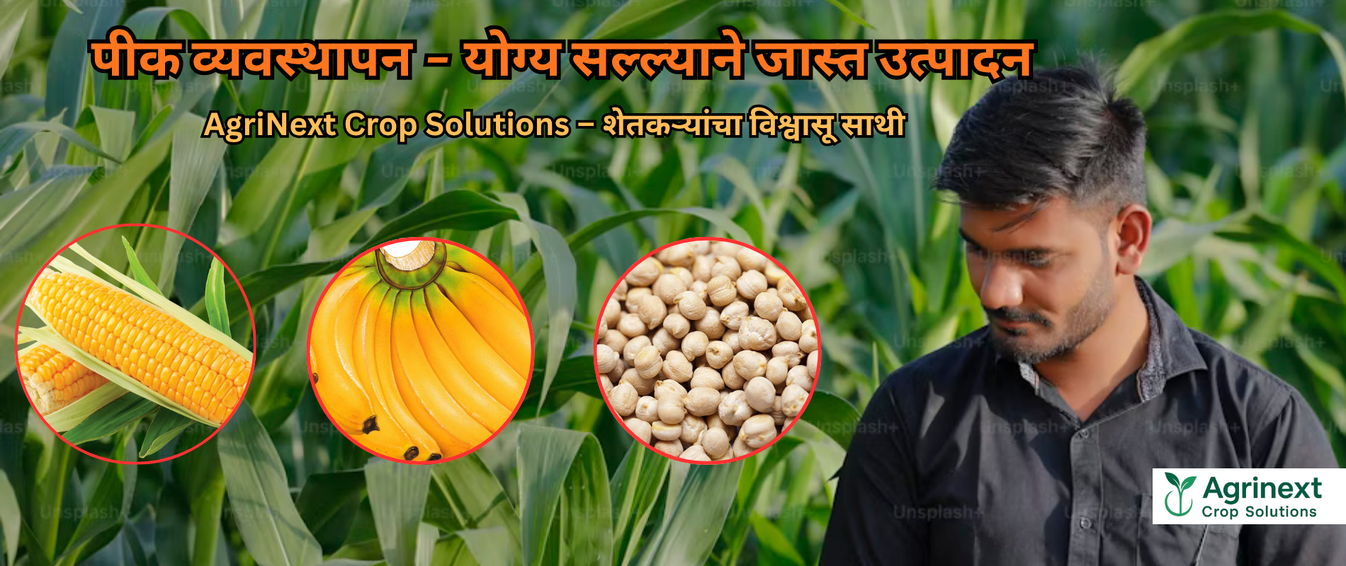 संपूर्ण पीक मार्गदर्शन