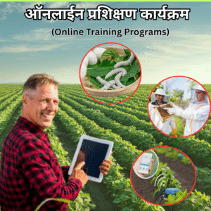 ऑनलाईन ट्रेनिंग प्रोग्राम कोर्सेस