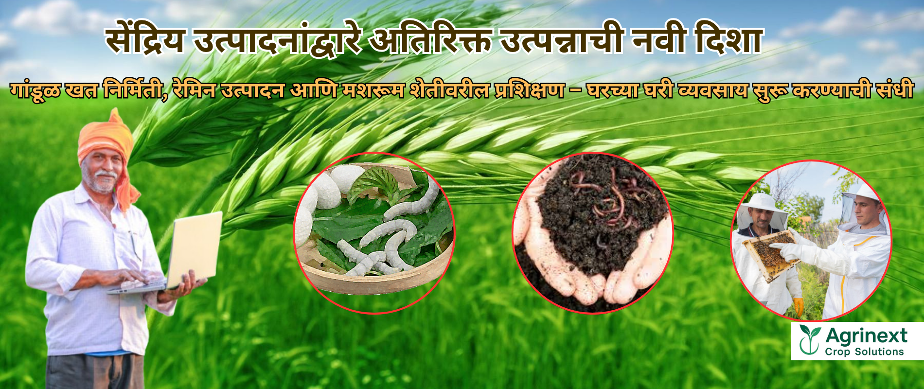 ऑनलाईन ट्रेनिंग प्रोग्राम